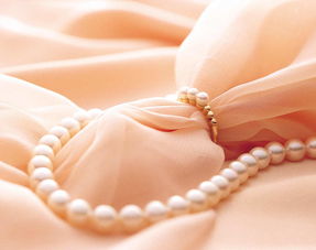 精品潮流高雅珠寶首飾實物禮品素材圖片 模板下載 3.15mb 其他大全 標(biāo)志丨符號