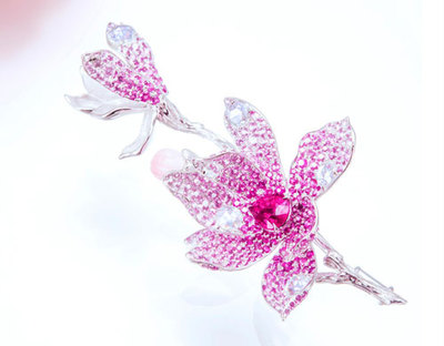 中國珠寶玉石首飾行業協會